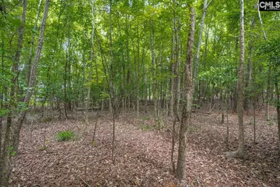 1600 Wildwood Cove Road, Leesville, SC 29006 - Photo 12