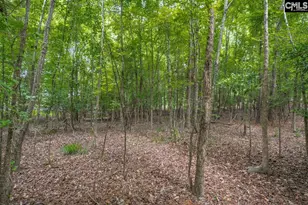 1600 Wildwood Cove Rd, Leesville, SC 29006 - Photo 12