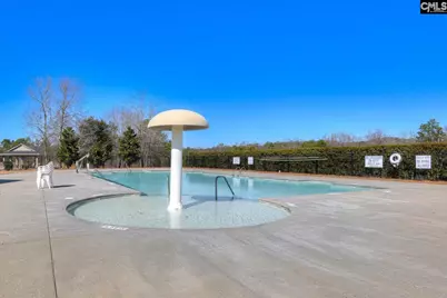 1918 Pink Orchard Court, Lexington, SC 29073 - Photo 4