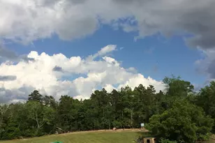 1860 Martin Smith Rd, Leesville, SC 29070 - Photo 14
