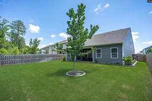 329 Sycamore Crest Wy, Chapin, SC 29036 - Photo 40