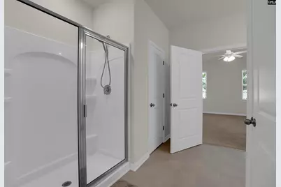 329 Sycamore Crest Way, Chapin, SC 29036 - Photo 26