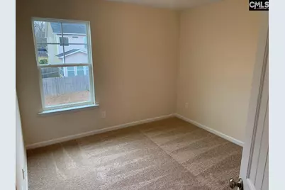 952 Bergenfield Lane, Chapin, SC 29036 - Photo 18