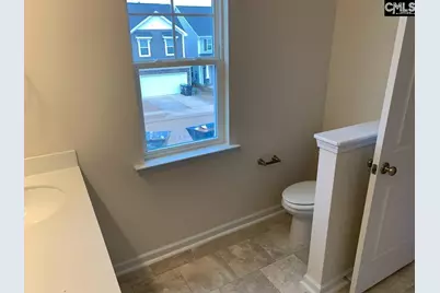 952 Bergenfield Lane, Chapin, SC 29036 - Photo 12
