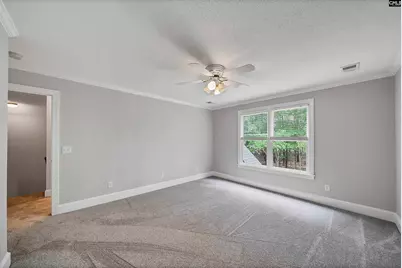 292 Quail Walk Trail, Chapin, SC 29036 - Photo 50