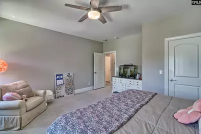 1214 Danvers Lane, Chapin, SC 29036 - Photo 46