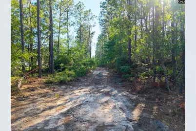 0 Pine Plain Road, Gaston, SC 29053 - Photo 8