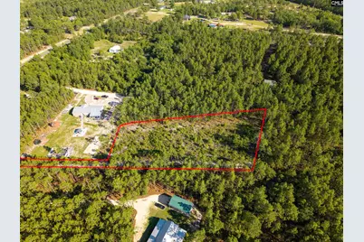 0 Pine Plain Road, Gaston, SC 29053 - Photo 6