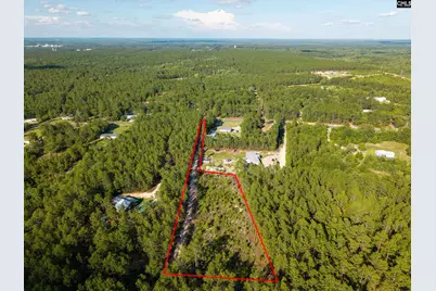 0 Pine Plain Road, Gaston, SC 29053 - Photo 4