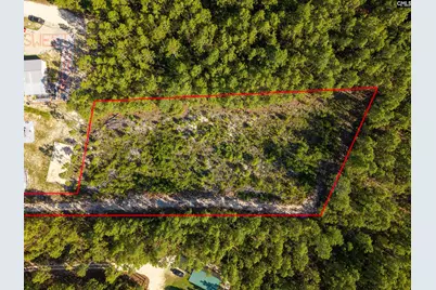 0 Pine Plain Road, Gaston, SC 29053 - Photo 2