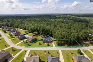 434 Robin Song Ct, Blythewood, SC 29016 - Photo 10