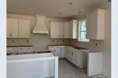 828 Elms Spinney Lane, Chapin, SC 29036 - Photo 4