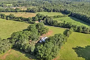 1015 Scurry Ln, Saluda, SC 29138 - Photo 52