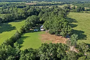1015 Scurry Ln, Saluda, SC 29138 - Photo 48