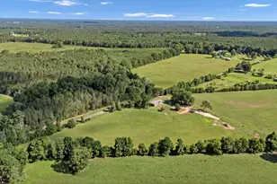 2640 Mt Willing Rd, Saluda, SC 29138 - Photo 48