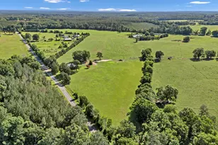 2640 Mt Willing Rd, Saluda, SC 29138 - Photo 46