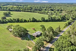 2640 Mt Willing Rd, Saluda, SC 29138 - Photo 44