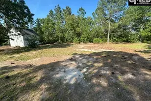 180 Deer Moss Trail, Lexington, SC 29073 - Photo 4