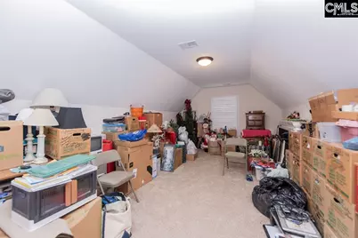 348 Congaree Ridge Court, West Columbia, SC 29170 - Photo 78
