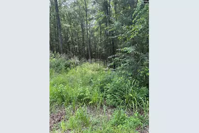 1409 Mullis Road, Blythewood, SC 29016 - Photo 2