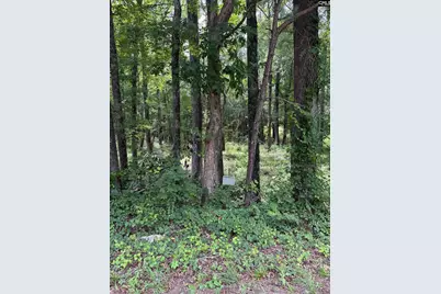 1409 Mullis Road, Blythewood, SC 29016 - Photo 1