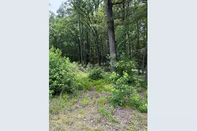 1405 Mullis Road, Blythewood, SC 29016 - Photo 1