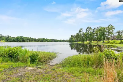 506 Litchfield Lane, Lexington, SC 29072 - Photo 44