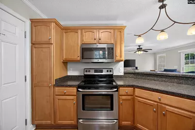 121 Farm Chase Drive, Lexington, SC 29073 - Photo 30
