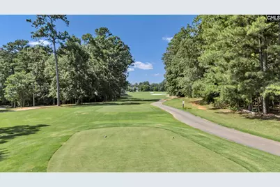 448 Lookover Pointe Drive, Chapin, SC 29036 - Photo 88