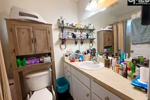 176 Mariscat Pl, Lexington, SC 29073 - Photo 18