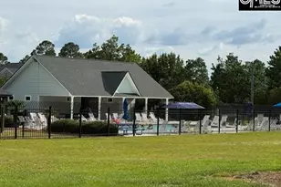 176 Mariscat Pl, Lexington, SC 29073 - Photo 28