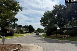 176 Mariscat Pl, Lexington, SC 29073 - Photo 40