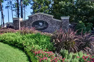 331 E Arrowleaf Ln, Elgin, SC 29045 - Photo 80