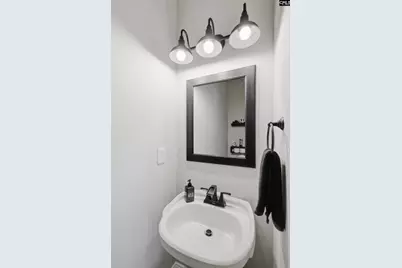 318 Southberry Way, Lexington, SC 29072 - Photo 20
