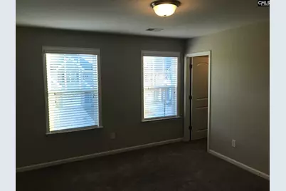 374 Hollow Cove Road, Chapin, SC 29036 - Photo 18