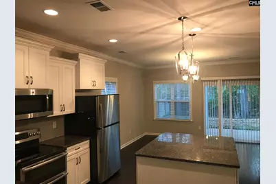 374 Hollow Cove Road, Chapin, SC 29036 - Photo 6