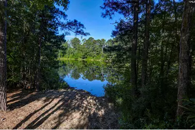 215 Sorrel Tree Drive, Columbia, SC 29223 - Photo 48