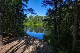 215 Sorrel Tree Dr, Columbia, SC 29223 - Photo 48