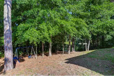 215 Sorrel Tree Drive, Columbia, SC 29223 - Photo 46