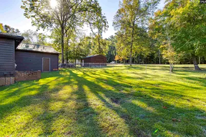 234 Turtle Trail, Leesville, SC 29070 - Photo 46