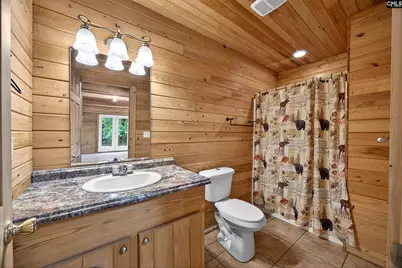 115 Rocky Meadow Drive, Gilbert, SC 29054 - Photo 32