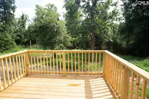 113 Downing St, Columbia, SC 29209 - Photo 22