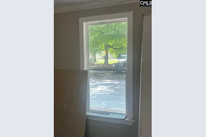 113 Downing Street, Columbia, SC 29209 - Photo 4