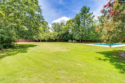 3 Foxfield Lane, Blythewood, SC 29016 - Photo 38