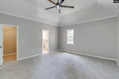 3 Foxfield Lane, Blythewood, SC 29016 - Photo 22