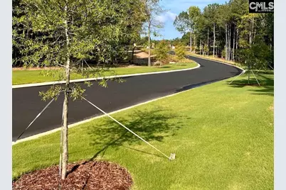Lot 22 Shoreview Drive #22, Prosperity, SC 29127 - Photo 30
