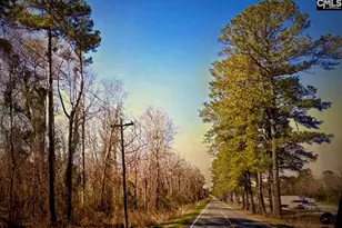 0000 Citadel Rd, Orangeburg, SC 29118 - Photo 1