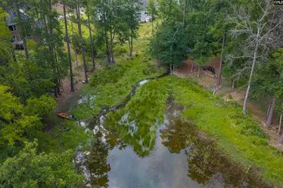 408 Lookover Pointe Road, Chapin, SC 29036 - Photo 6