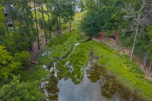 408 Lookover Pointe Rd, Chapin, SC 29036 - Photo 6