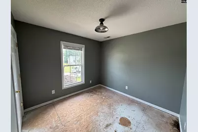 344 Louisa Lane, Lexington, SC 29073 - Photo 8